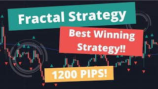 Best Fractal indicator Strategy settings for Forex Use this strategy to get NEVER ENDING Profits [upl. by Hamner]