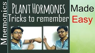 Plant hormones tricks and tips [upl. by Philippine]