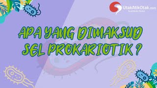 APA YANG DIMAKSUD SEL PROKARIOTIK [upl. by Hait]