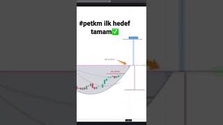 Petkim 610 hedefi geldi✅ shorts [upl. by Aniraad736]