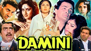 Damini 1993 Full Movie  Sunny Deol  Meenakshi Seshadri  Amrish Puri  Rishi Kapoor Review amp Fact [upl. by Yenduhc]