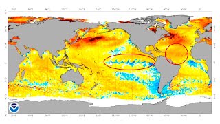 La Niña fraco e Atlântico Norte aquecido vão dar o tom para o clima durante safra de verão [upl. by Goldia]