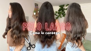 ✨Cómo Hacer Crecer tu Pelo Rápido y Saludable Tips Infalibles✨ pelo cabello peinados [upl. by Anaher]