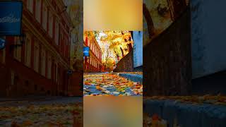 Autumn in Estonia  tartu city [upl. by Mateo711]