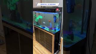 Nano To Jumbo Size Moulded Imported Quality Aquarium Available A4 Aquarium Gallery amdavad shorts [upl. by Lexie]