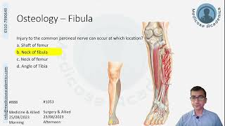 Lower Limb Question Discussion August November 2023 attempt [upl. by Ateiluj]