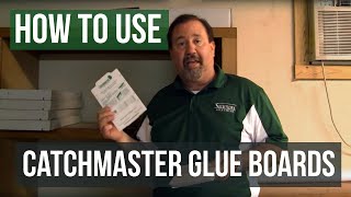 How To Use Mouse Glueboards Catchmaster 72mb [upl. by Onailime]