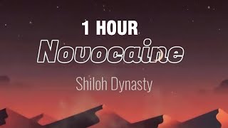 1 HOUR Shiloh Dynasty  Novocaine  lyrics sped up [upl. by Pammi]