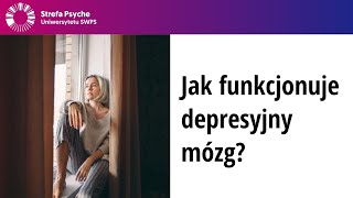 Jak funkcjonuje depresyjny mózg  Neurobiologiczne podłoża zaburzeń depresyjnych  dr A Kołodziej [upl. by Buell]