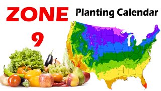 Zone 9 Planting Calendar  Guide to Successful Gardening in Zone 9 [upl. by Gabby]