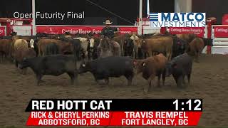 2017 Cutting Horse Futurity  Red Hott Cat Saturday [upl. by Niletak960]