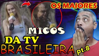 REAGINDO OS MAIORES MICOS DA TV BRASILEIRA PARTE 8 [upl. by Annahpos]