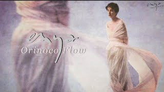 Enya  Orinoco Flow Lyric Video [upl. by Packton736]