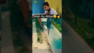 Allah is the owner of saving☝️ shots youtubeshorts vairalshort islamicphrase allahhuakbar [upl. by Phia]