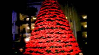 Trees of Christmas at Opryland Resort [upl. by Lomax]