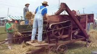 Threshing wheat at the Kutztown Festival 2016 [upl. by Eahsal]