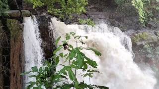 Harvalem Waterfalls  North Goa [upl. by Grover482]