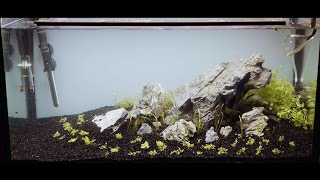 112l Iwagumi Aquascape SetUp [upl. by Nawed]