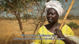 Turning the tide on desertification in Africa 7min43sec version [upl. by Korns430]