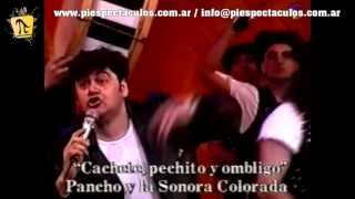 Cachete Pechito y Ombligo  Pancho y La Sonora Colorada [upl. by Bilek]