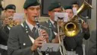 Militärmusik Oberösterreich OÖ Ferngas Marsch 2007 [upl. by Eihs]