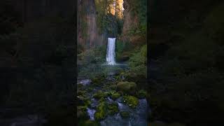 the umpqua national forest [upl. by Marshall]