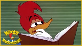 Woody Woodpecker  International Woodpecker  Full Episodes [upl. by Eceinahs]