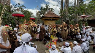 Katuran Ring Jaba Tengah Pura Dalem Puri Bongkasa Hari Ke 54 Rabu09 Oktober 2024 [upl. by Ken]