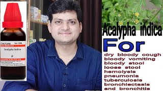 Acalypha indica  Homeopathic Medicine for dry bloody cough amp dysentery amp hemolysis [upl. by Adohr10]