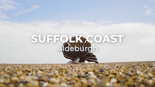 Discover Aldeburgh on The Suffolk Coast [upl. by Lleret]