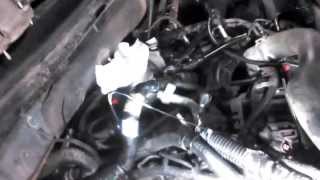 2005 F150 54 3v Timing Chain [upl. by Liman273]