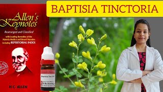 Baptisia tinctoria homeopathic medicine Allens keynotes materia medica in hindi easy explanation [upl. by Sheply200]