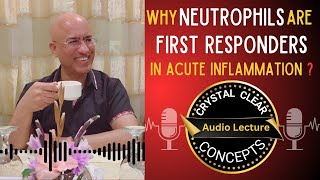 Neutrophils  Cells in Acute Inflammation  Audio Lecture [upl. by Nellek]