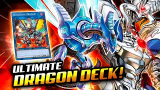 DRAGON LINK BYSTIAL Deck 🐲 ❌ 57 DISRUPTIONS❌  YuGiOh Master Duel [upl. by Charo]