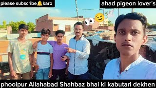 phoolpur Allahabad Shahbaz bhai ki jod wal kabutari ka Shauk Karenahad pigeon lovers viralvideos [upl. by Crowley]