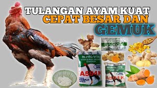 PAKAN SPESIALIS AGAR TULANGAN AYAM KUAT CEPAT BESAR DAN GEMUK [upl. by Derman]