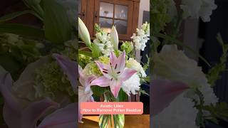 How to remove pollen residue from lily petals [upl. by Elsey]