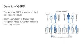 G6PD deficiency for Medical student [upl. by Ardnasirhc801]