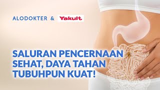 Saluran Pencernaan Sehat Daya Tahan Tubuhpun Kuat [upl. by Eeb]