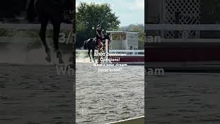 Day Three horse jumping fypシ゚viral equestrian jump horsetype [upl. by Llertnom]