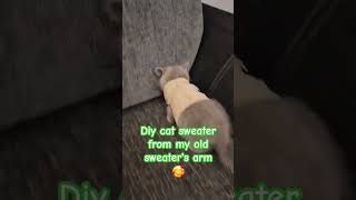 diy catlover catsweetvideo sweater sweaterdesign trending [upl. by Aicened]