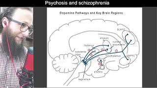 04 05  Five dopamine pathways in the brain  مسارات الدوبامين الخمسة في الدماغ [upl. by Aihpledalihp802]