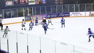 Roseville Squirt A vs Eagan Squirt A [upl. by Sibbie394]