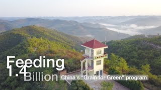 Feeding 14 Billion Chinas Grain for Green program [upl. by Hakaber]