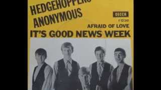 Hedgehoppers Anonymous  Its Good News Week Stereo  1965 [upl. by Koziel]