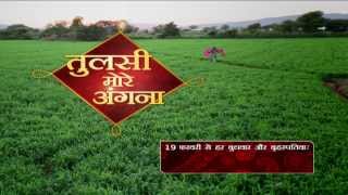 Tulsi More Angna Promo Wednesday and Thursday at 10 PM on DD National [upl. by Tara669]