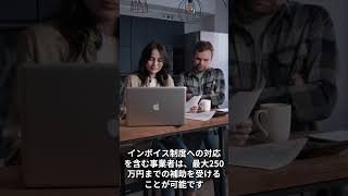 【持続化補助金】中小企業必見！これから始まる主要補助金 [upl. by Ursola]