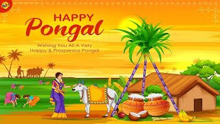 Happy Pongal 2024  Makara Sankranti Wishes Videos 2024  Makar Sankranti WhatsApp status  TVNXT [upl. by Aneret358]