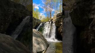 Kilgore Falls Pylesville Maryland 42424 🌊📸🇺🇸 shorts [upl. by Akemak]