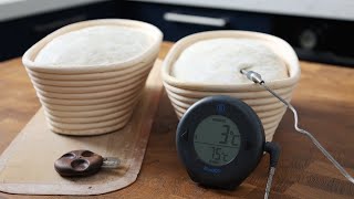 Stop Over Proofing Your Sourdough Use This Experiment to Find Your Optimum Proof [upl. by Kleper]